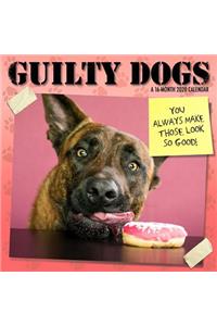 Cal-2020 Guilty Dog Wall