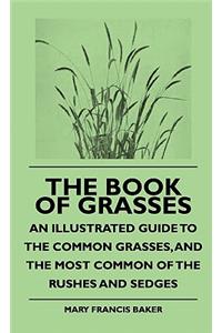 Book of Grasses - An Illustrated Guide to the Common Grasses, and the Most Common of the Rushes and Sedges