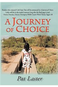 Journey of Choice