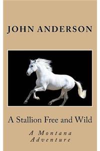 Stallion Free and Wild