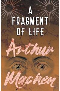 A Fragment of Life