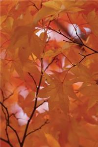 Pallid Leaves Fall Fire Tree Notebook