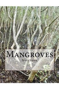 Mangroves Notebook