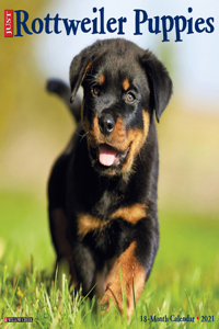 Just Rottweiler Puppies 2021 Wall Calendar (Dog Breed Calendar)