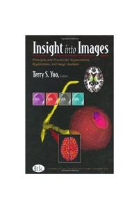 Insight Into Images