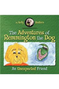 The Adventures of Remmington the Dog: An Unexpected Friend