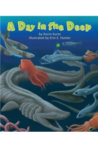 Day in the Deep