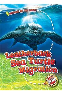 Leatherback Sea Turtle Migration