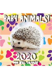 Baby Animals! 2020 Mini Wall Calendar