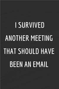 I survived another meeting that should have been an email