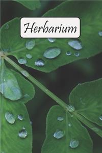 Herbarium