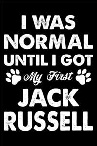 I Was Normal Until I Got My First Jack Russell