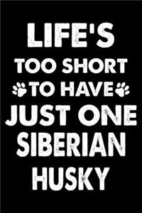 Life's Too Short To Have Just One Siberian Husky