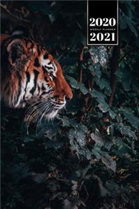 Tiger Week Planner Weekly Organizer Calendar 2020 / 2021 - Water Hole