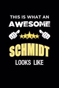 This Is What An Awesome Schmidt Looks Like