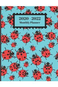 2020-2022 Monthly Planner