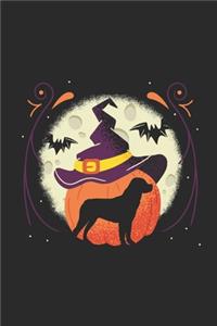 Halloween Rottweiler