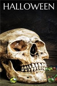 Skull Halloween Notebook, Memory Book to Write or Draw , 6x9, 100 Beautiful Pages, Notes, Journal, Memory Book