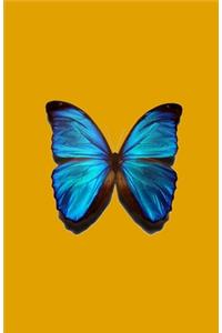 Blue Butterfly Dot Journal