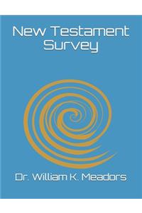 New Testament Survey
