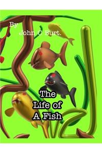 The Life of A Fish.