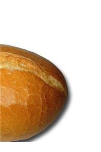 Roll Notebook Large Size 8.5 x 11 Ruled 150 Pages Softcover