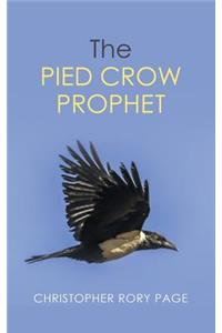 Pied Crow Prophet