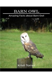 Amazing Facts about Barn Owl