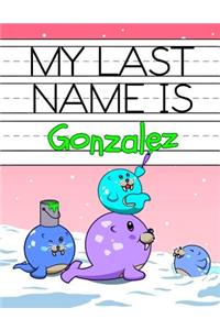 My Last Name Is Gonzalez