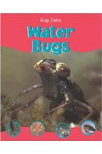 Water Bugs