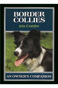 Border Collies