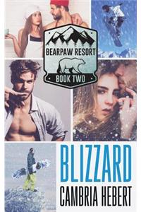 Blizzard
