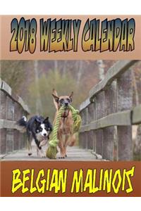 2018 Weekly Calendar Belgian Malinois