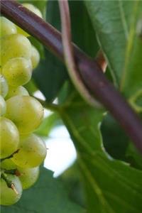 Winegrowing Notebook