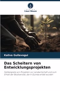 Das Scheitern von Entwicklungsprojekten
