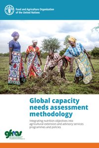 Global capacity needs assessment methodology