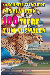 schnellsten Tiere des Planeten