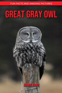 Great Gray Owl