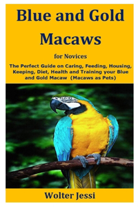 Blue and Gold Macaws for Novices