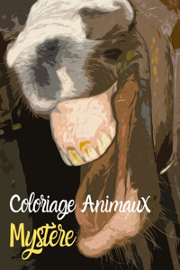 Coloriage animaux Mystère