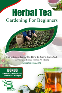 Herbal Tea Gardening for Beginners