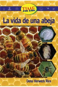 La Vida de una Abeja
