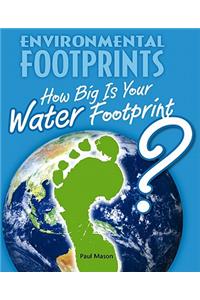 How Big Is Your Water Footprint?