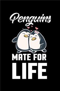 Penguins Mate For Life