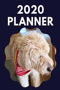 2020 Planner