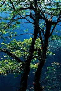 Through the Branches Notebook