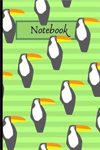 Toucan Notebook