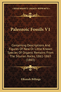 Paleozoic Fossils V1