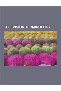 Television Terminology: Television Channel, Television Network, Television Licence, Rerun, Prime Time, Wiping, Closed Captioning, Pay-Per-View