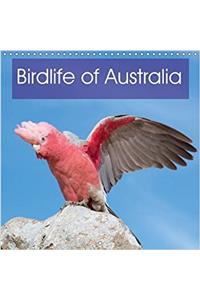 Birdlife of Australia 2017